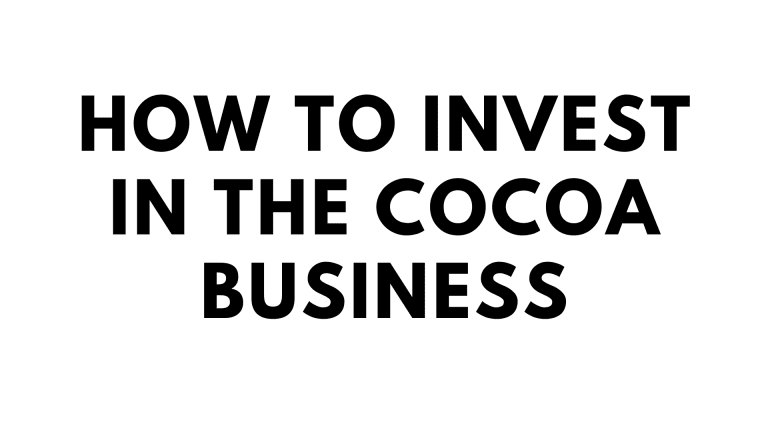 A Guide to Invest in the Cocoa Business