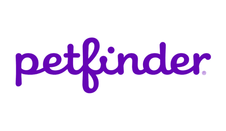 How To Fix Petfinder Not Working
